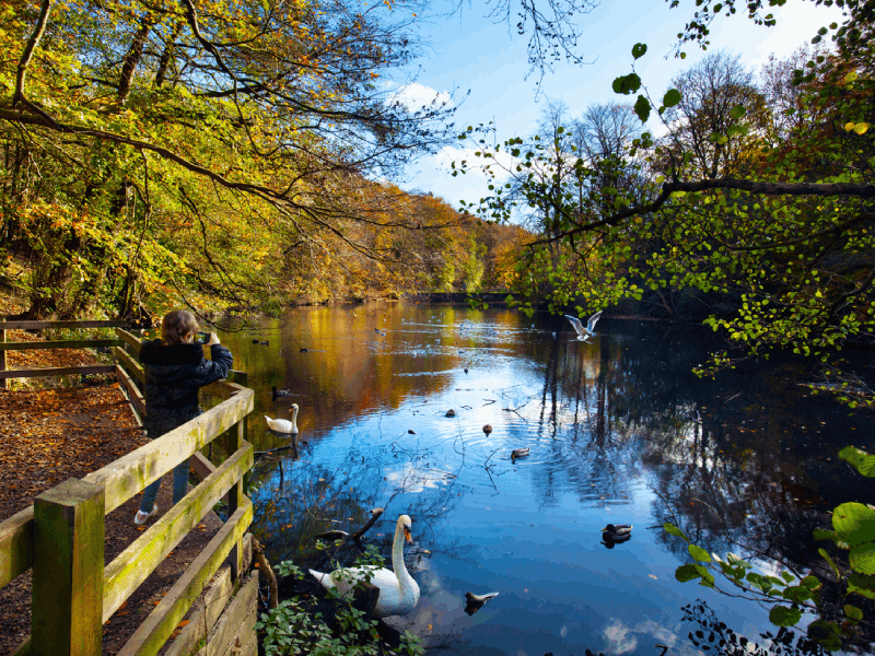 Chapel Allerton, West Yorkshire